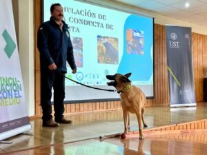 Proyecto innovador de adiestramiento de mascotas para ayudar a personas mayores