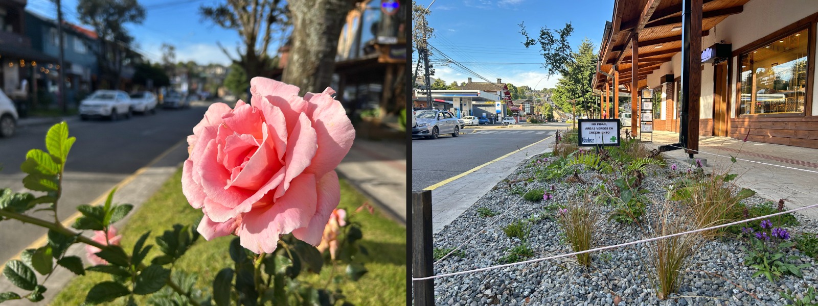 Las Rosas - Ciudad de las Rosas - Puerto Varas