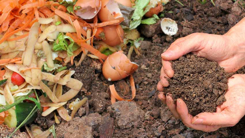Aprueban programa de compostaje y vermicompostaje en Puerto Varas