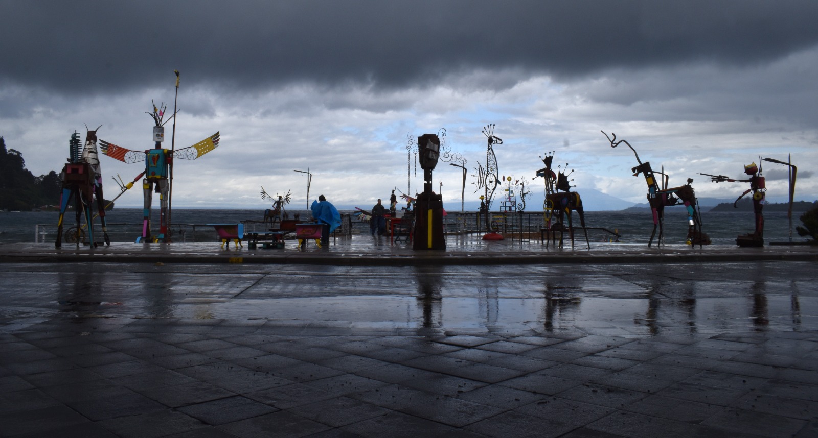 "Endémico" Diario Puerto Varas