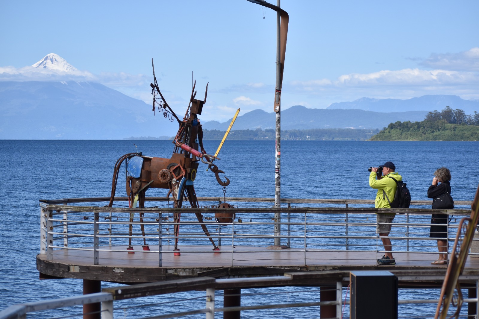 "Endémico" - créditos: Daniel Maldonado - Diario Puerto Varas