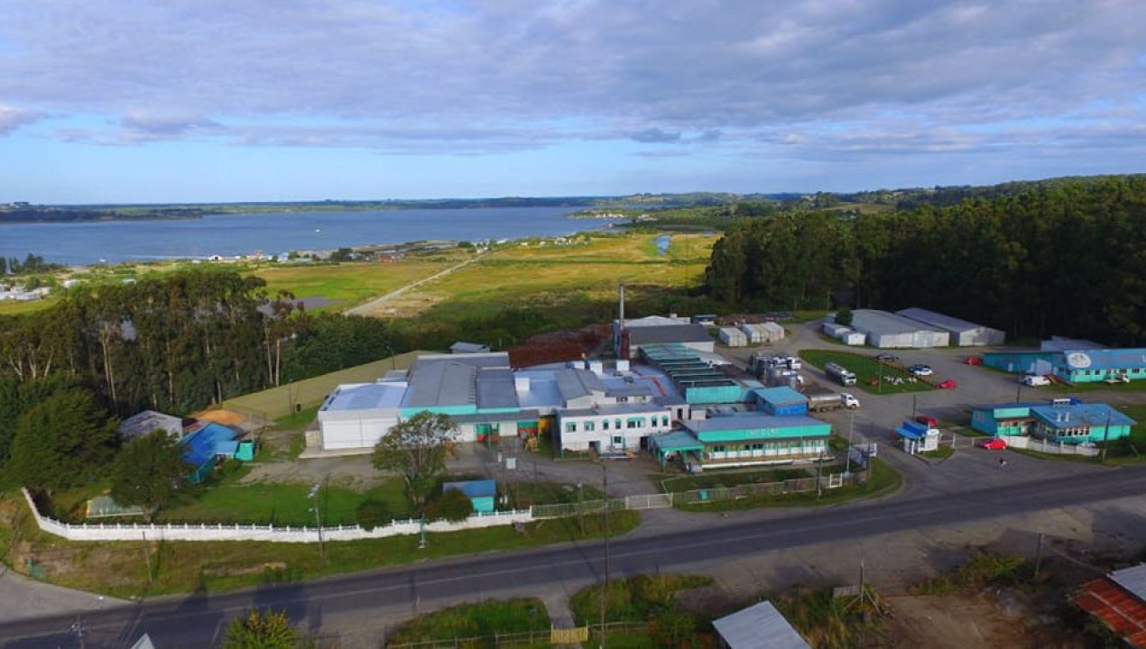 Chilolac - Diario Puerto Varas