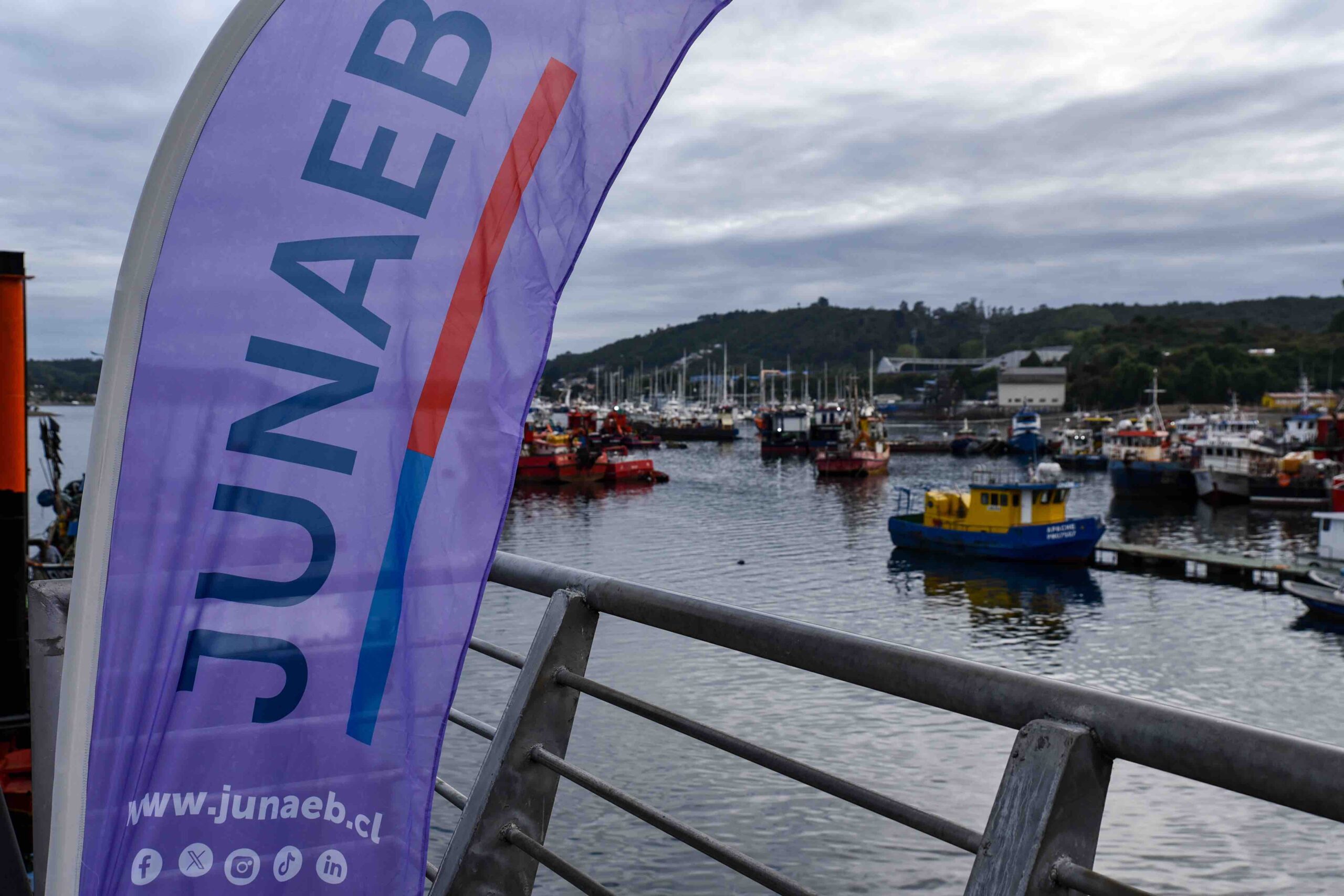 Merluza austral en comedores escolares de Puerto Montt