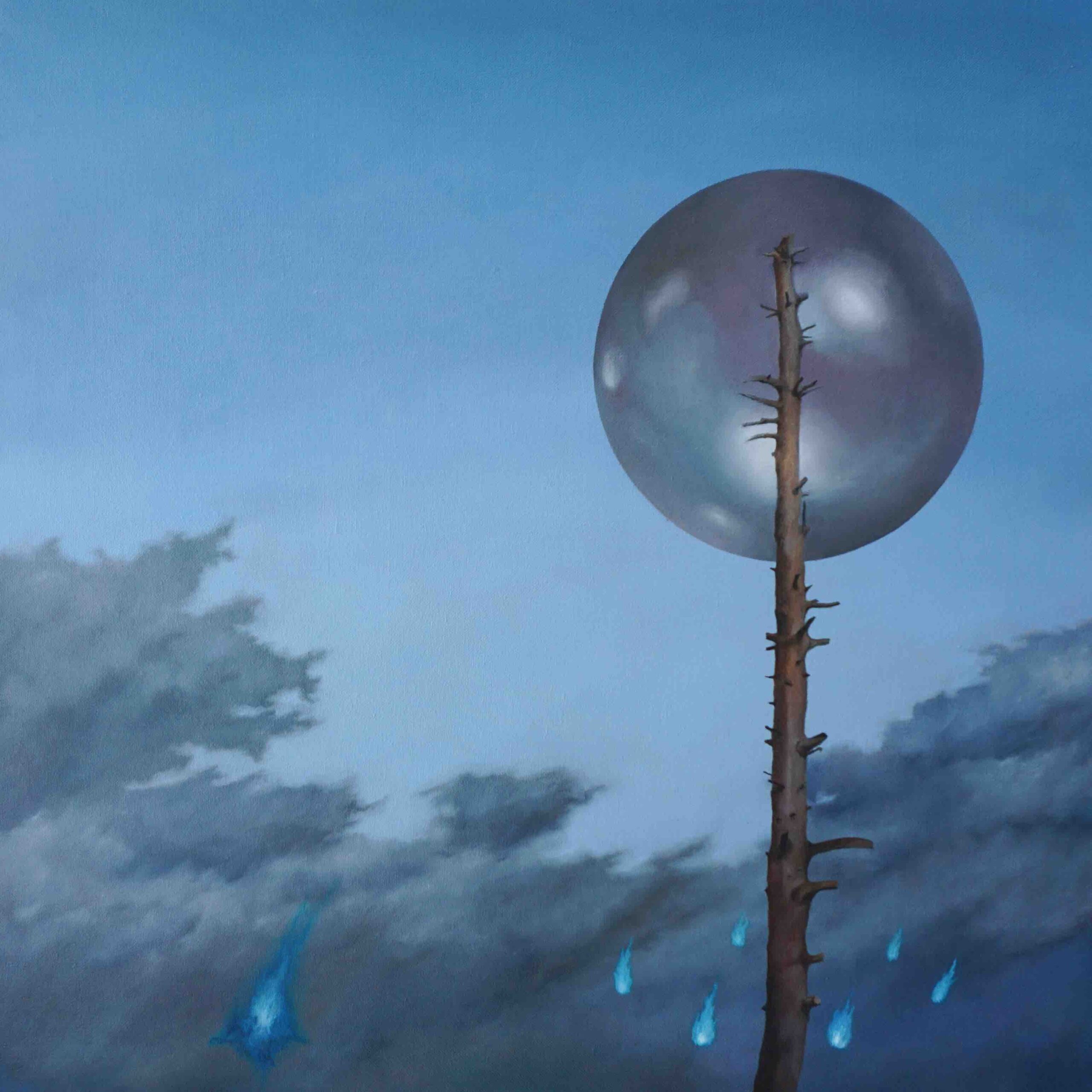 Nuevas exposiciones en Centro Cultural Bosque Nativo de Puerto Varas