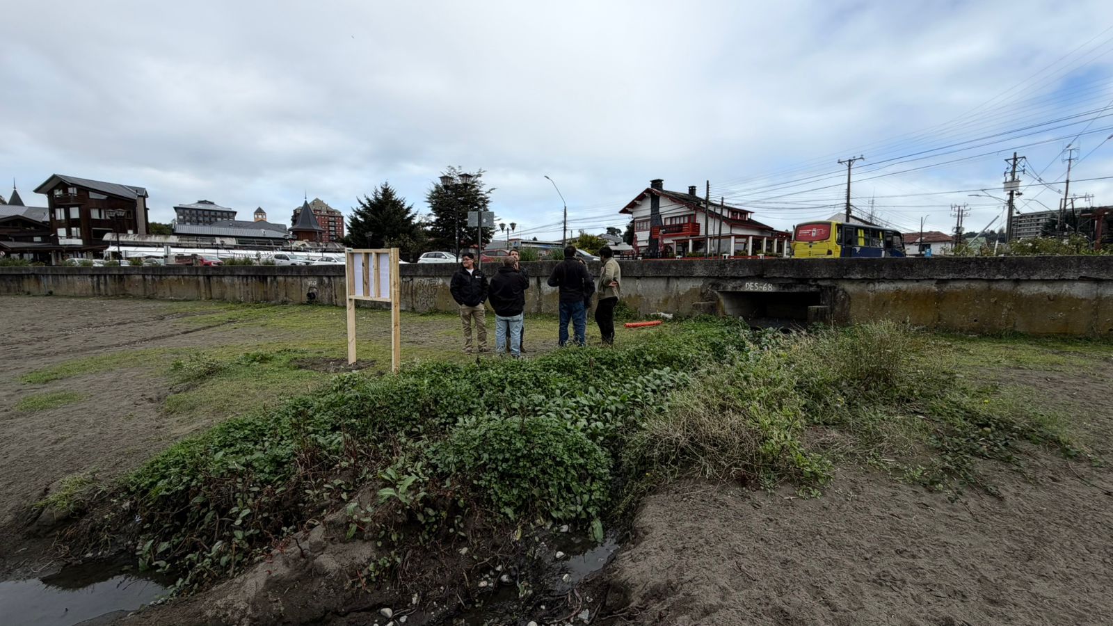 Puerto Varas impulsa solución basada en la naturaleza para mejorar la calidad del agua del Lago Llanquihue