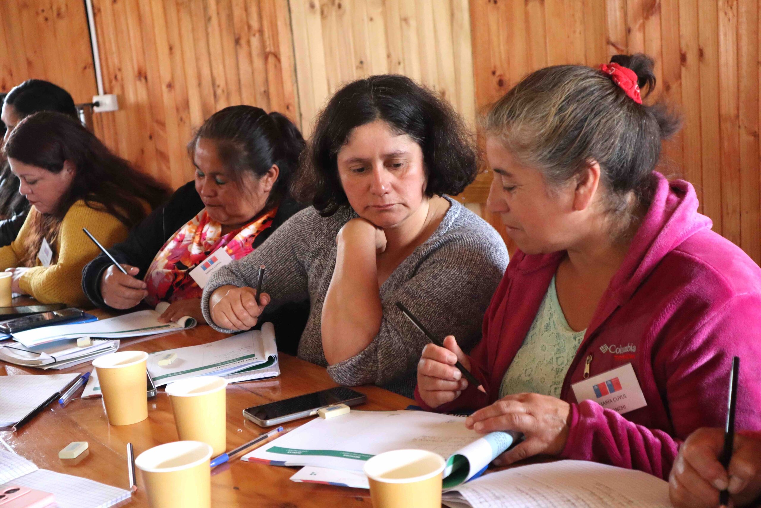 Mujeres del mar chilotas impulsan sus emprendimientos