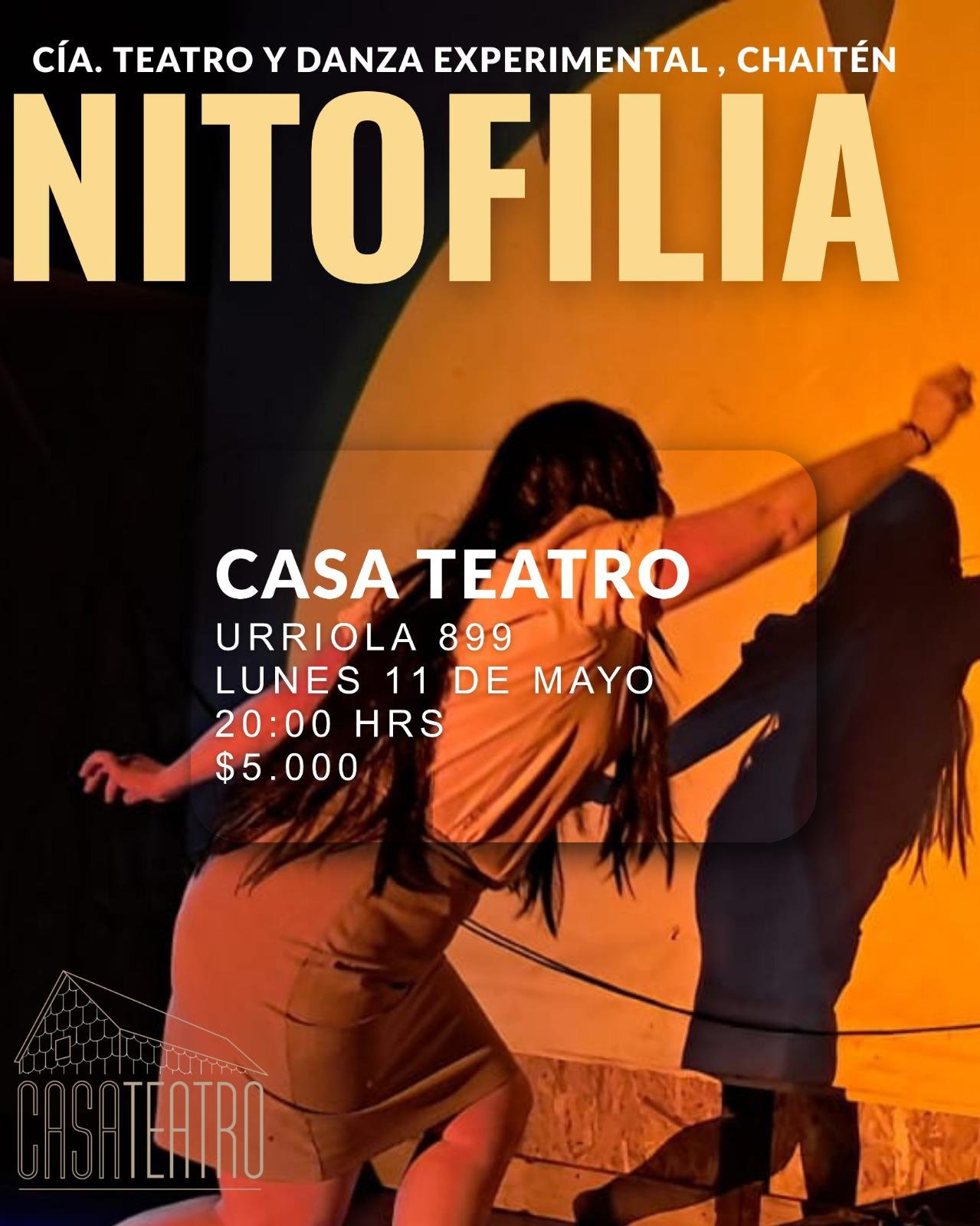 Día del Teatro - Diario Puerto Varas