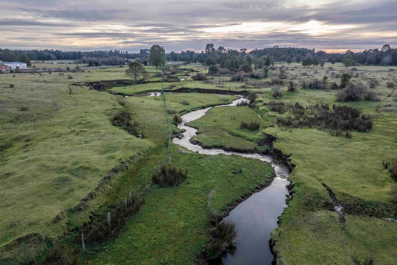 Monte Verde - Diario Puerto Varas
