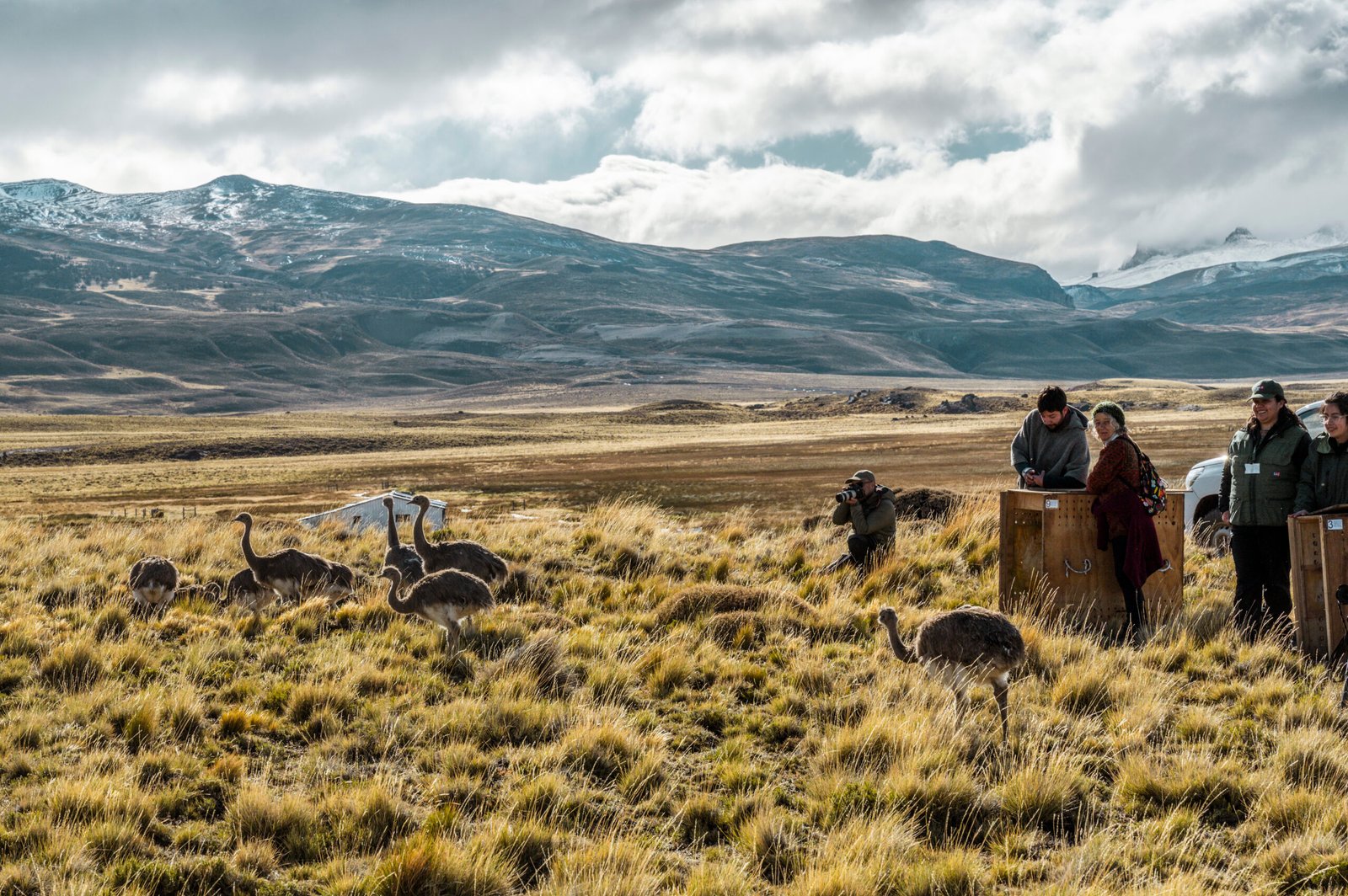 Parque Nacional Patagonia - Rewilding Chile - Diario Puerto Varas