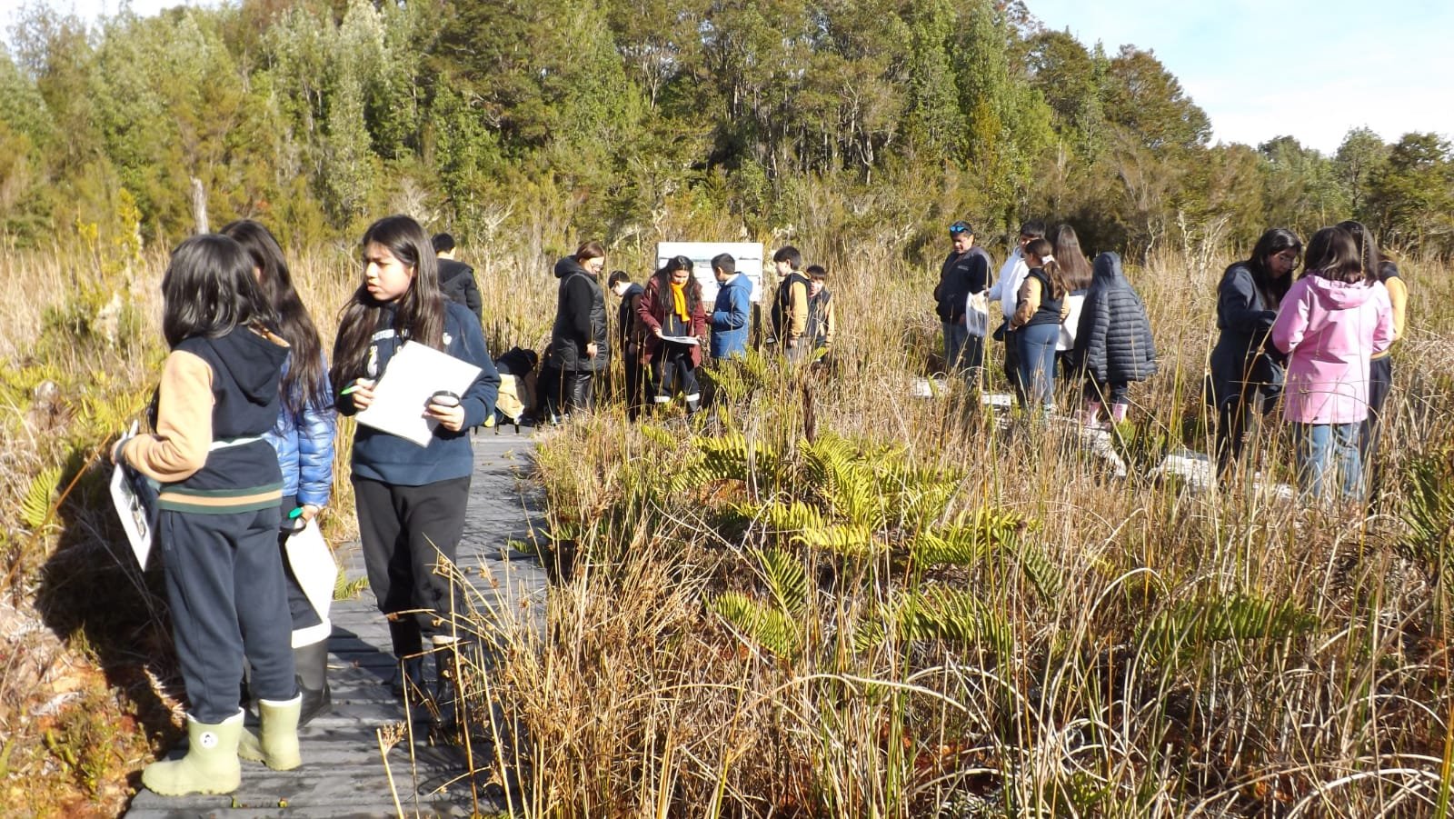 PEAL 2026 inicia recorridos educativos en Chiloé