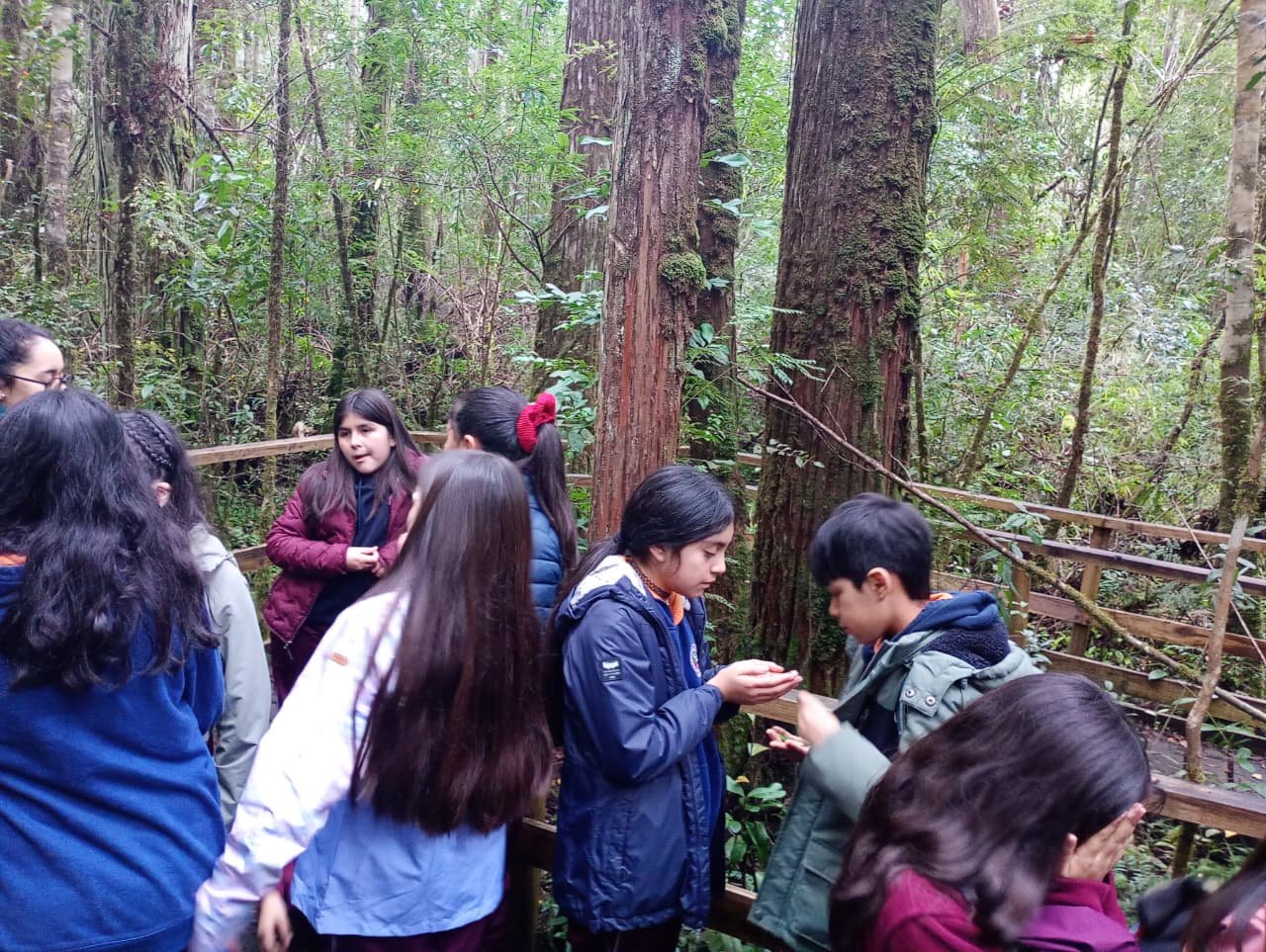 Estudiantes comienzan recorridos en Lahuen Ñadi en provincia de Llanquihue