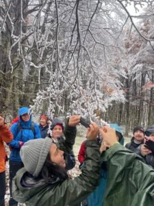 Vecinos del Parque Nacional Cerro Castillo exploran los secretos del reino fungi