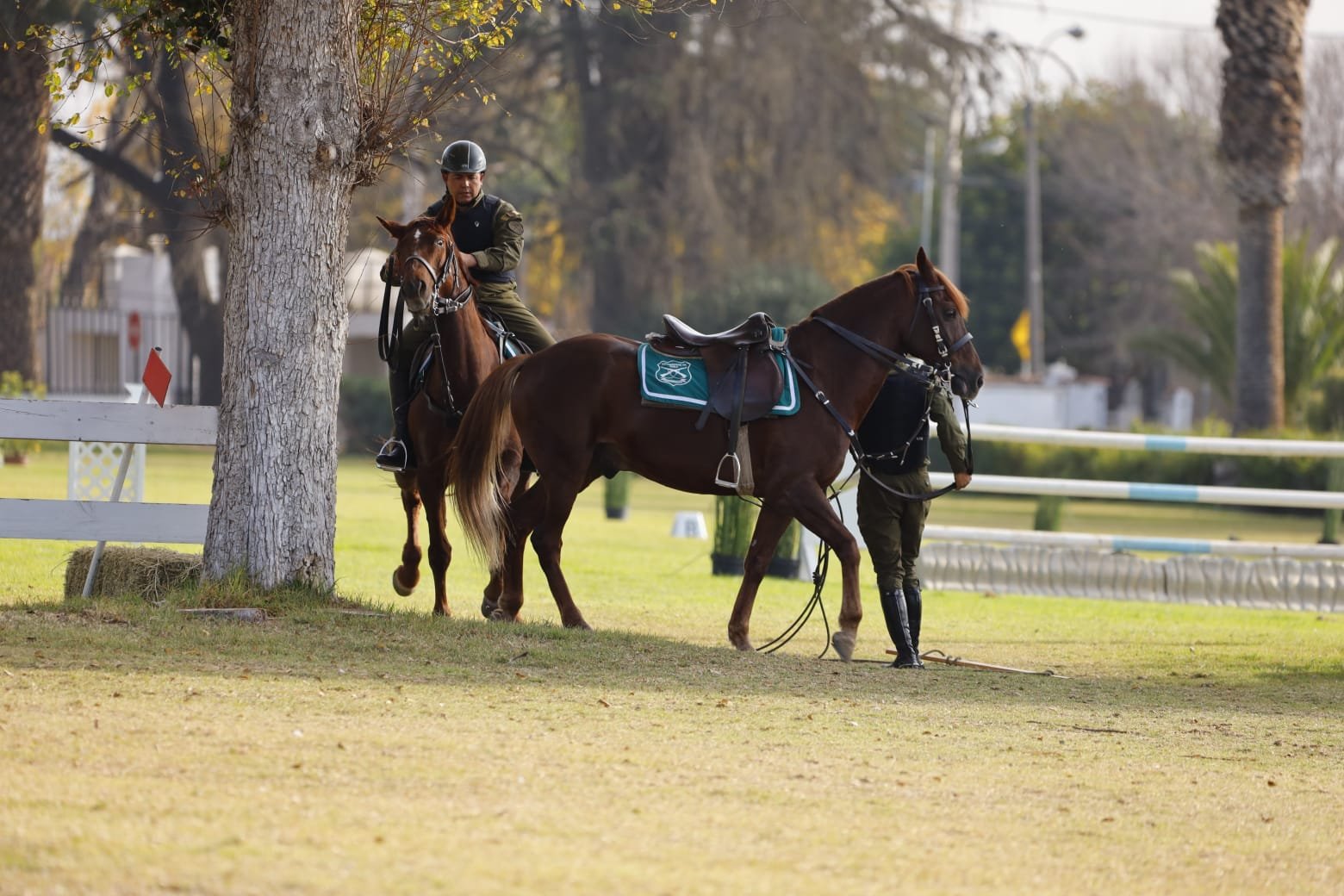 Ejército y Carabineros participaron en competencias con caballos
