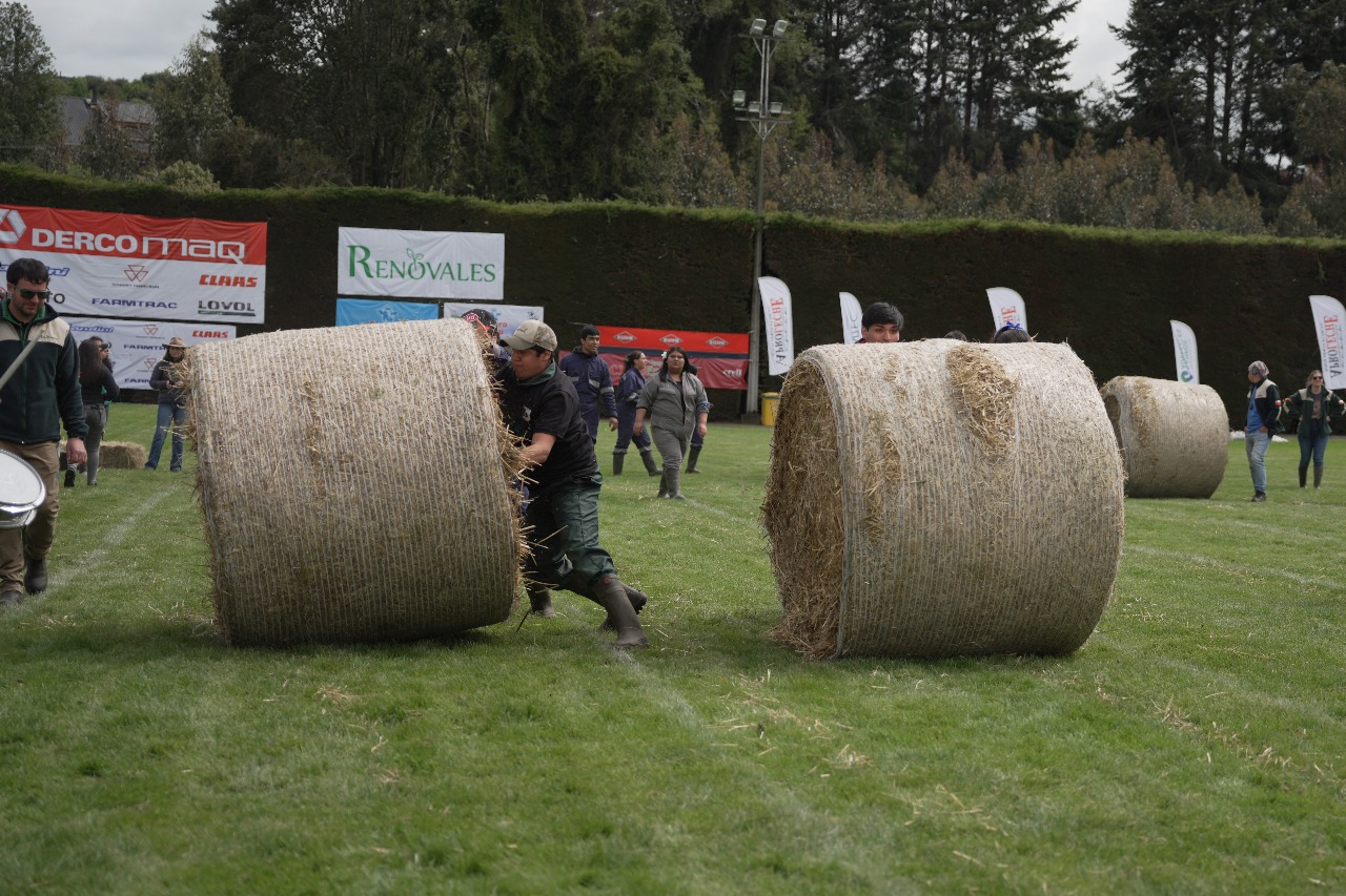 Juegos del Agro 2026 - Diario Puerto Varas