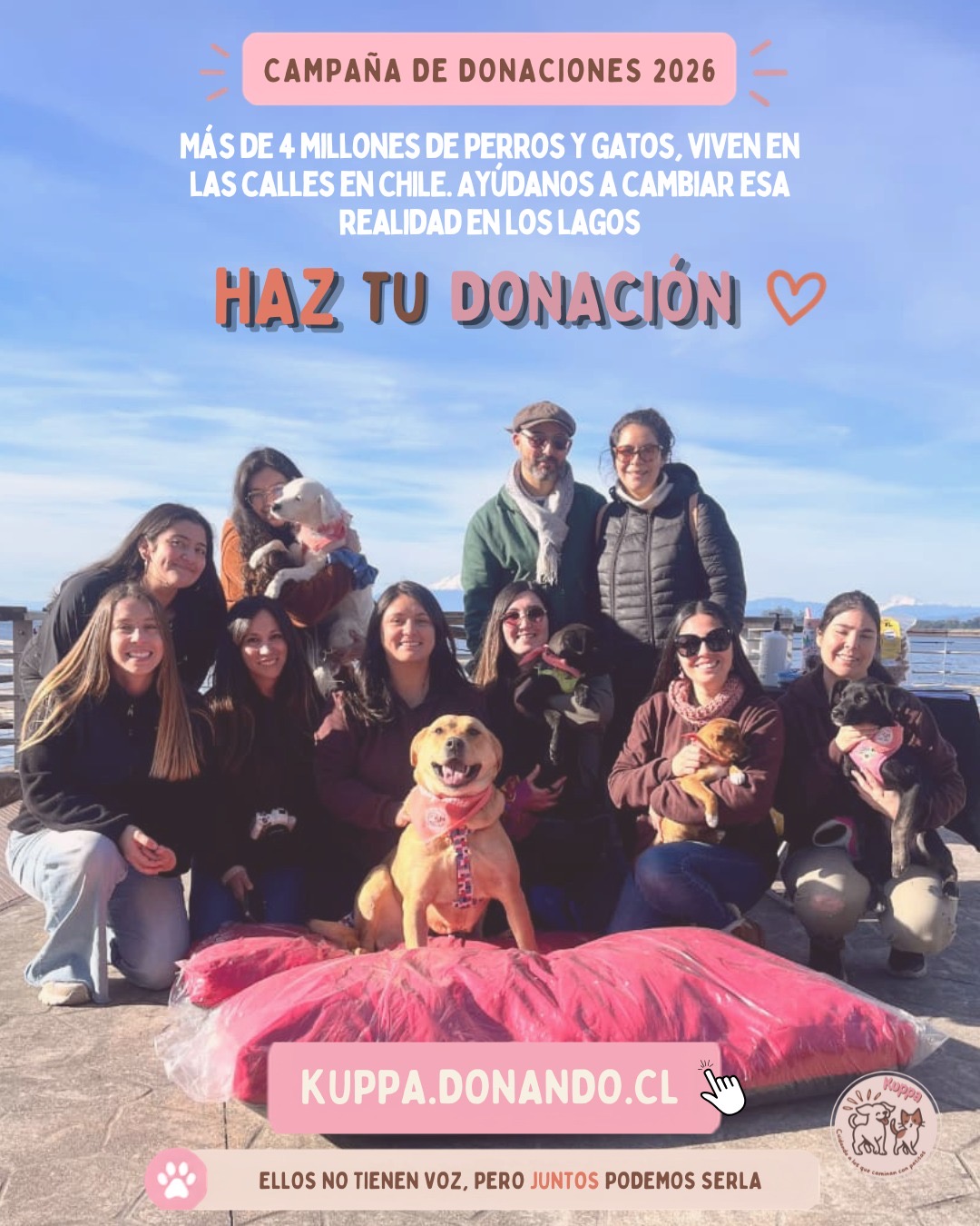 Kuppa - Diario Puerto Varas