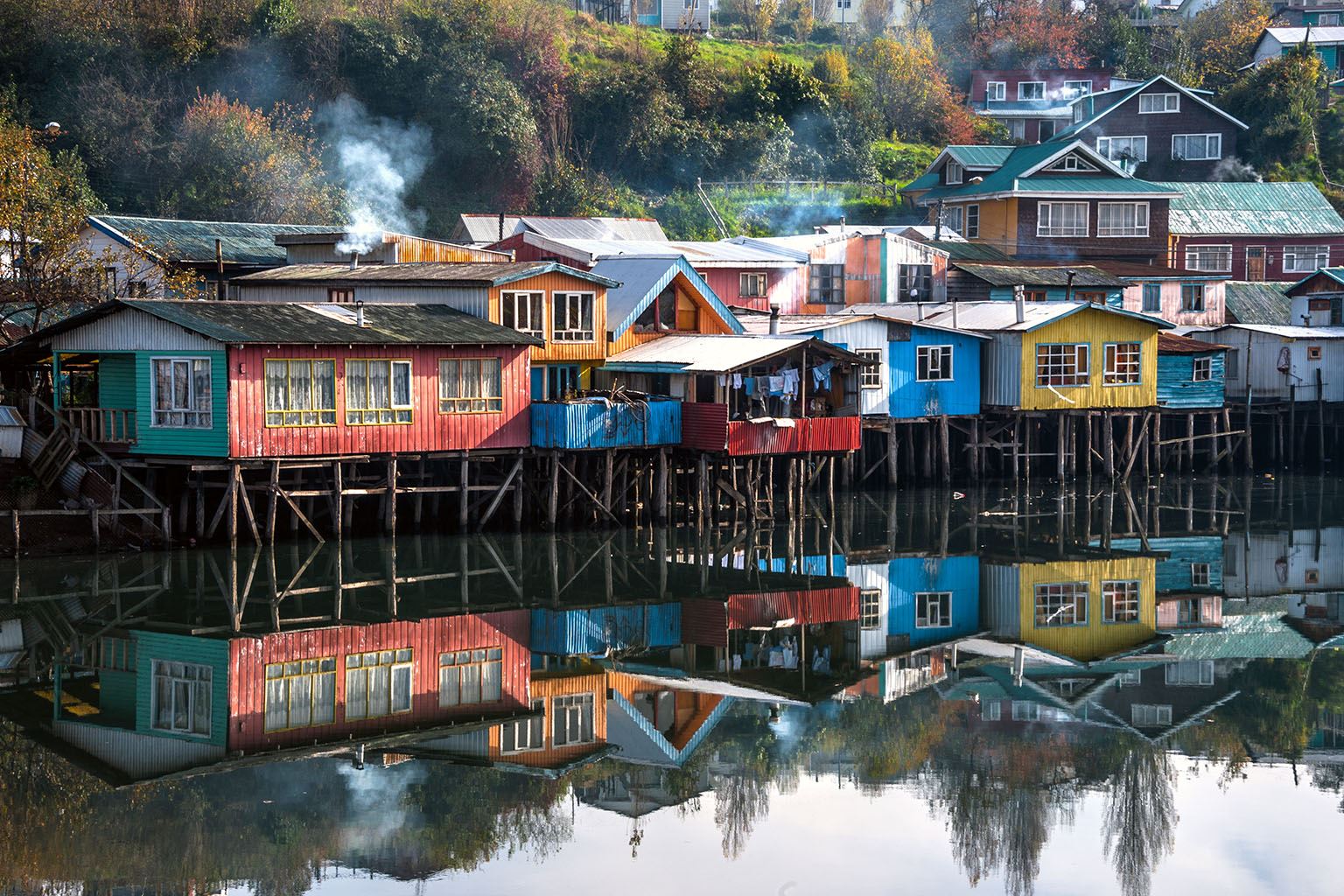 ULagos - Eco-Parque - Diario Puerto Varas