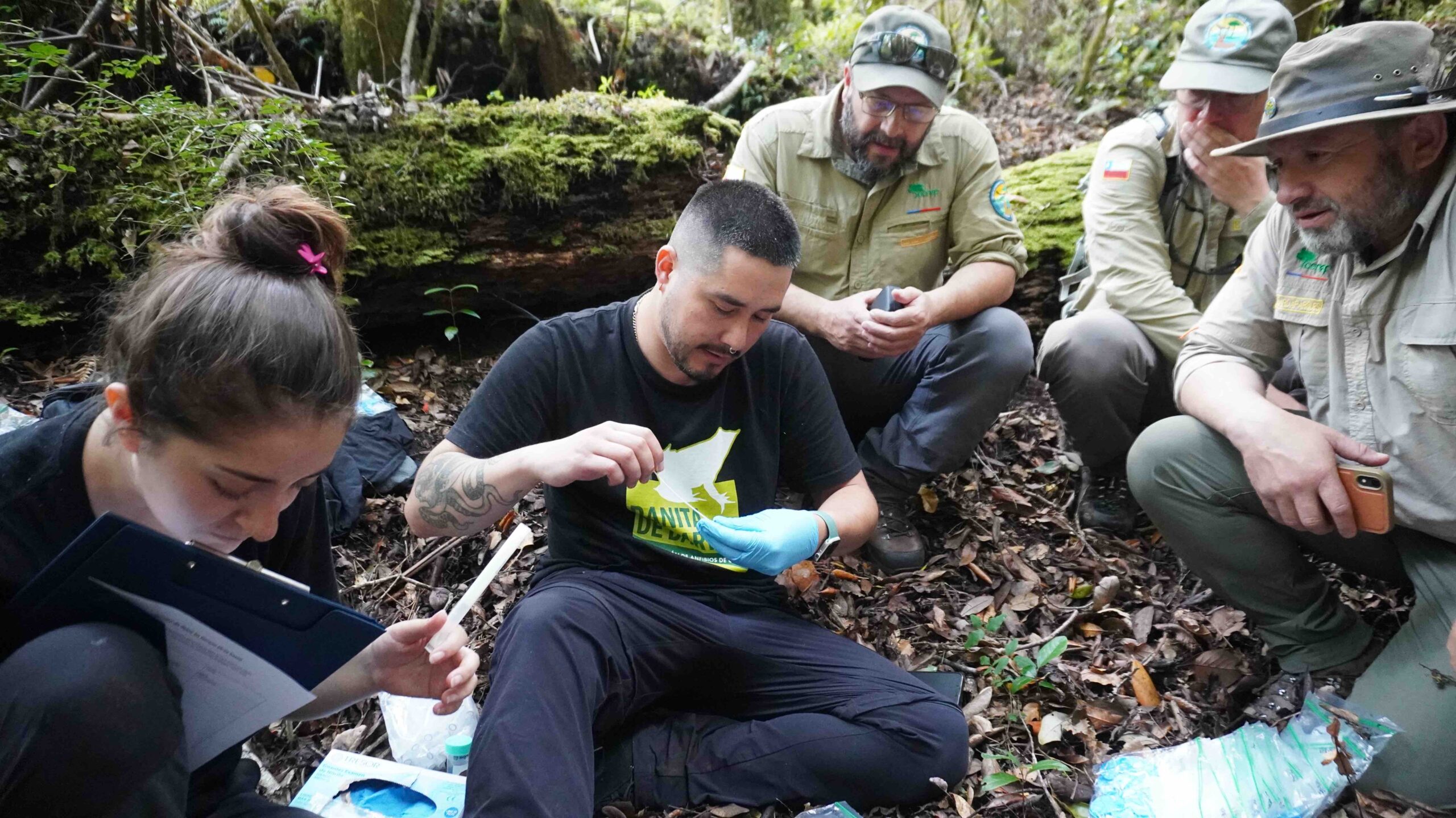 Ranitas de Darwin - Diario Puerto Varas