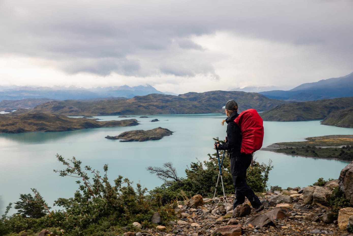 Torres del Paine - Diario Puerto Varas