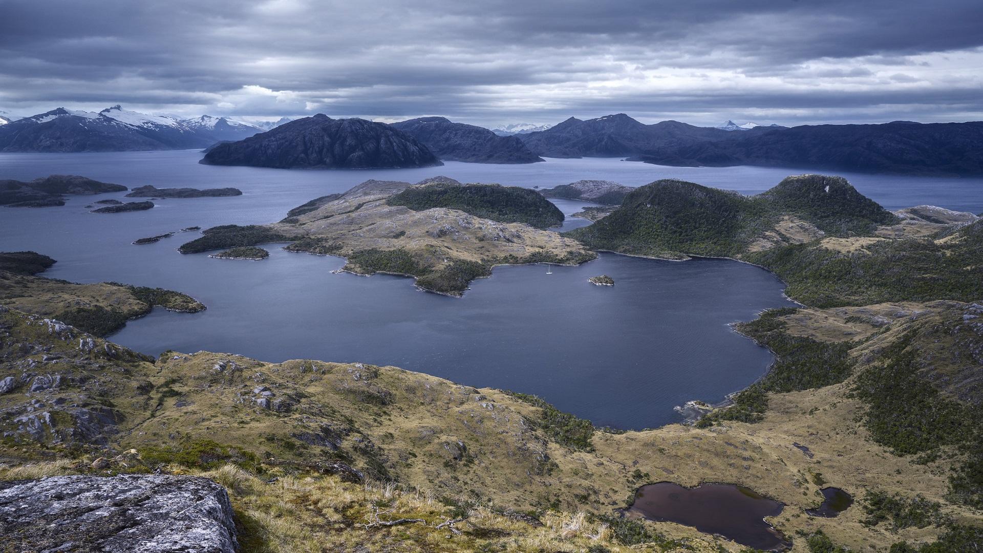 Remoción de carbono marino - Diálogo científico en Puerto Montt - Diario Puerto Varas