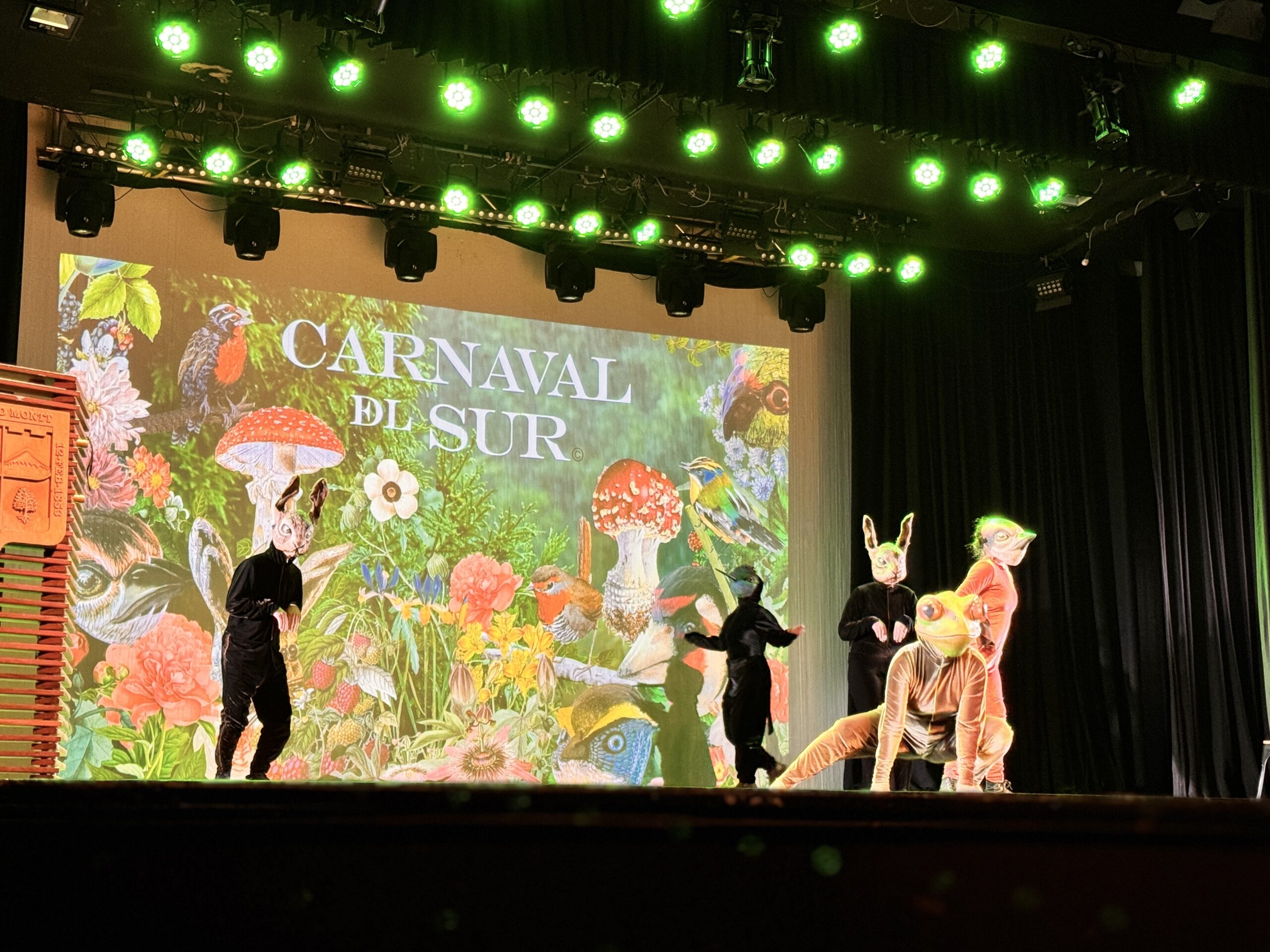 Carnaval del Sur - Diario Puerto Varas